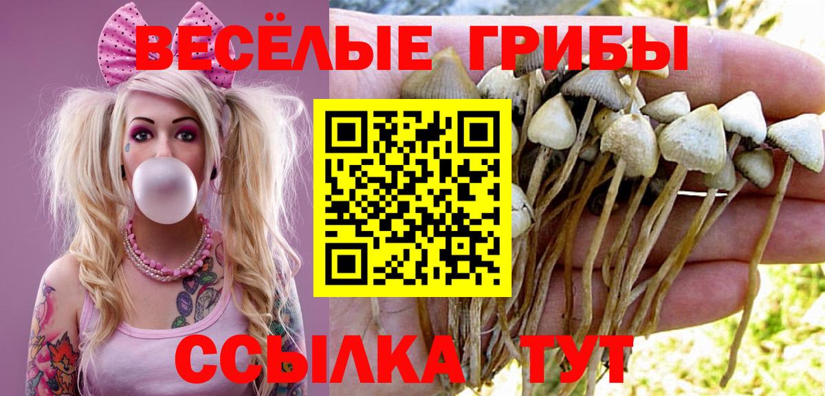 Санкт-Петербург  Галлюциногенные грибы ЛСД  Вход с VPN  Псилоцибиновые грибы Psilocybine cubensis 