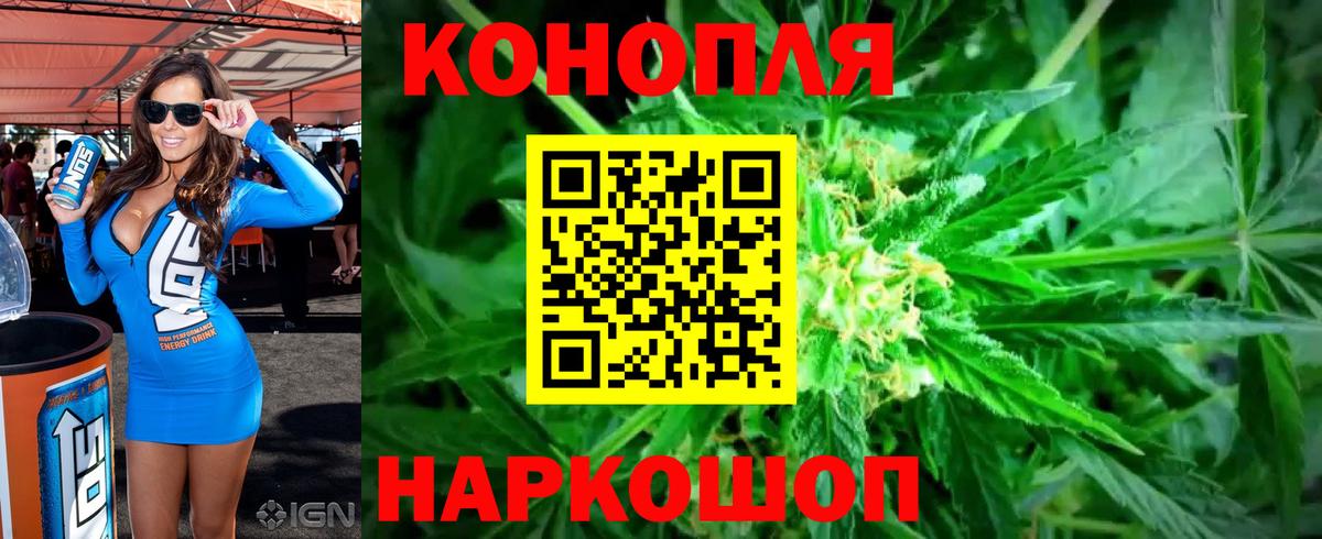 Каннабис индика Санкт-Петербург